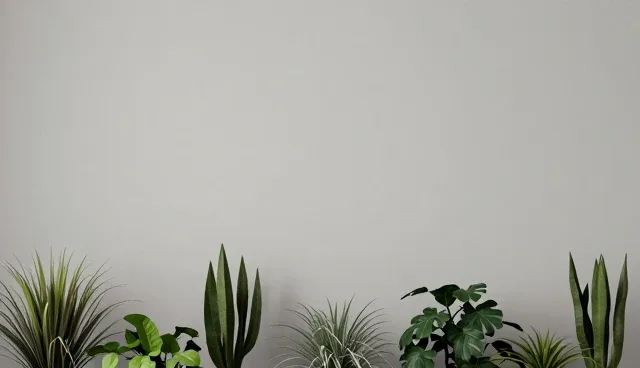 电商销售服务中供应链解决方案的常见误区解析